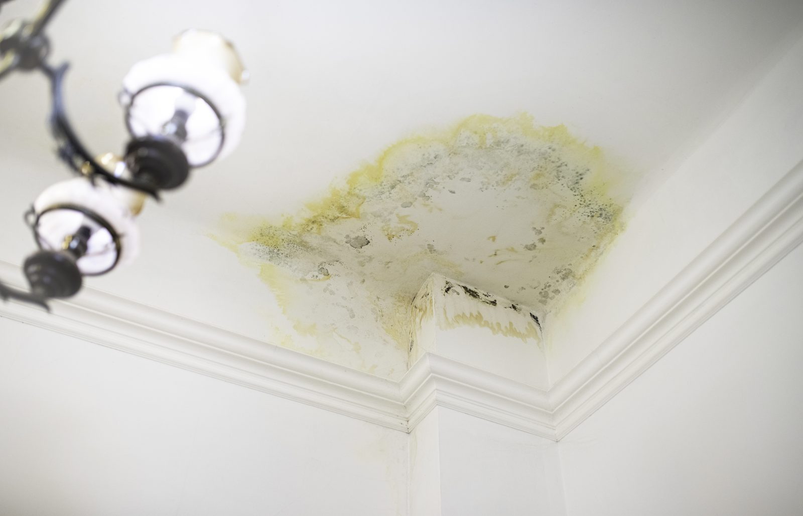 Water damage spreading across a ceiling in a flat